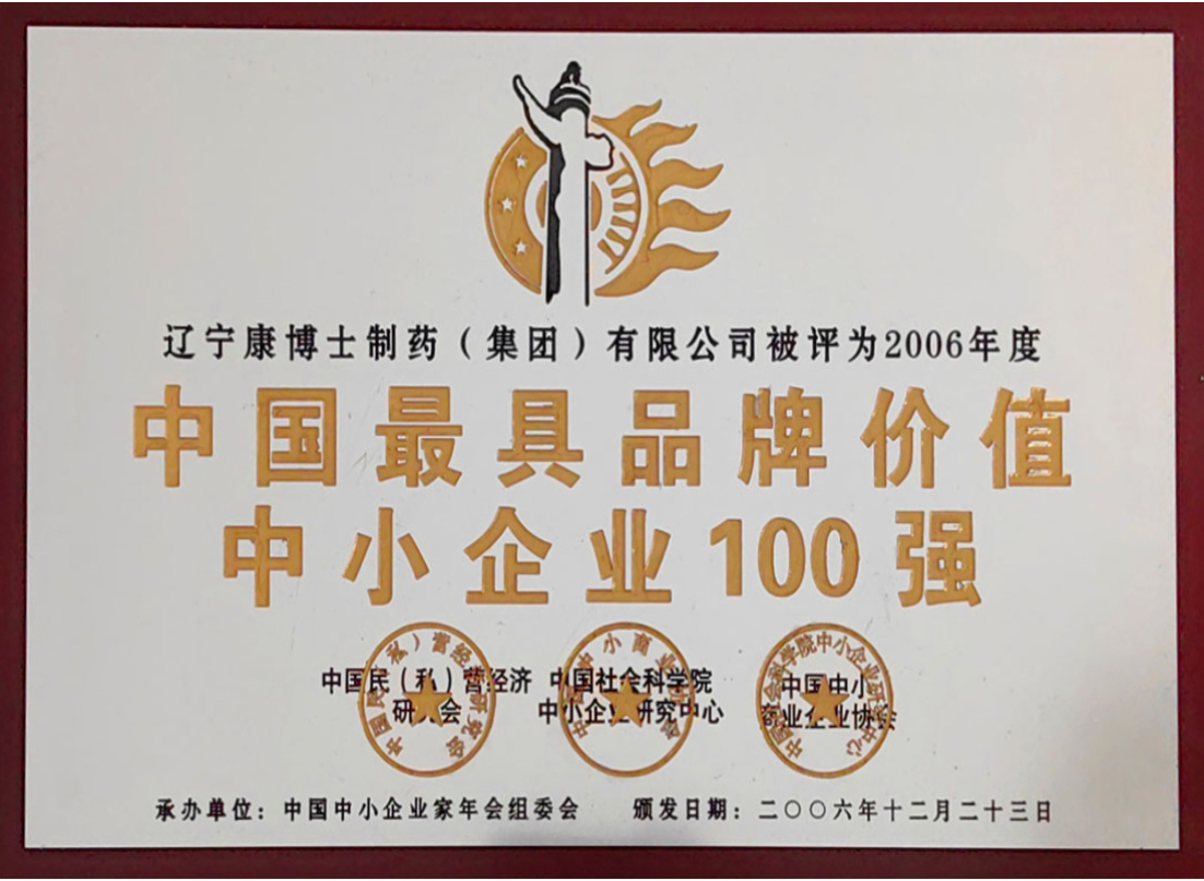 中国最品牌价值中小企业100强