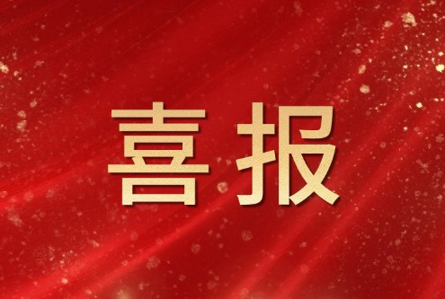 喜报！康博士通过“辽宁省专精特新中小企业”复核